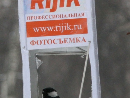 Реклама в парке, портфолио фотографа Сергея Рыжика, Rijik.ru