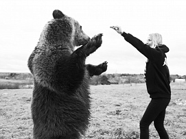 Медведь ВАСЯ, портфолио фотографа Сергея Рыжика, Rijik.ru